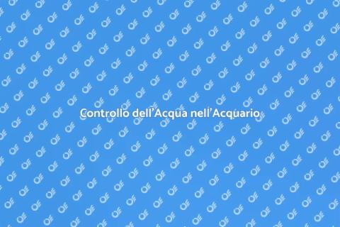 Verificare l'Acqua nell'Acquario