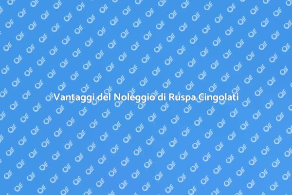 La Guida al Noleggio di Ruspa Cingolati