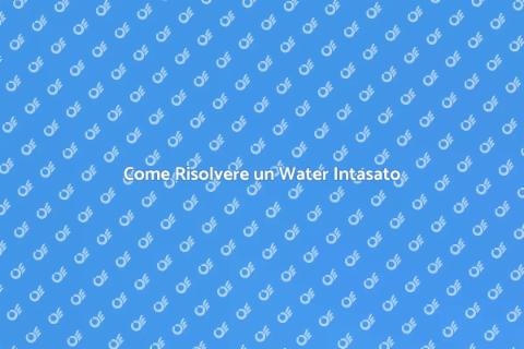 Disotturare il Water Intasato Facilmente