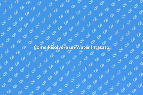 Soluzioni per Water Intasato