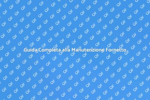 Manutenzione Fornetto Elettrico Essenziale