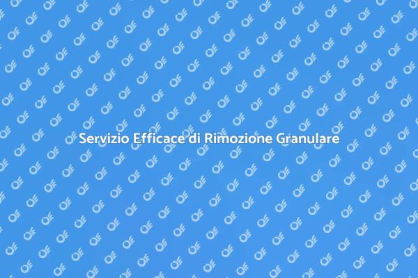 Ristrutturazioni: Rimozione Granulare
