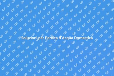 Riparazione Perdita d'Acqua in Casa