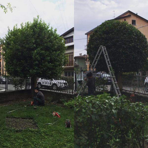 TreeclimbingBS - Foto 4