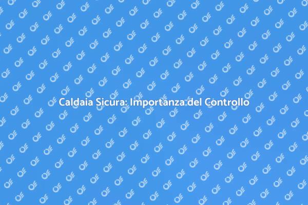 Sicurezza e Comfort con il Controllo Caldaia