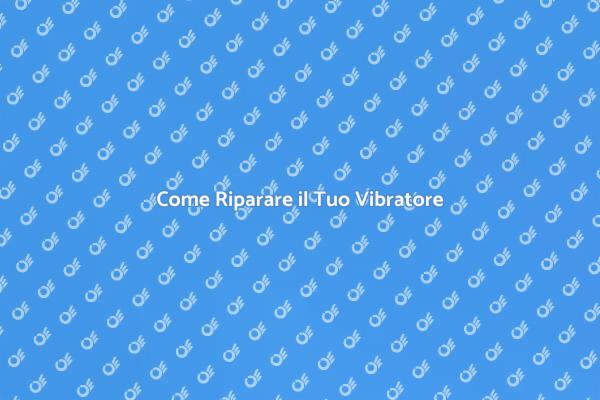 Guida alla Riparazione dei Vibratori