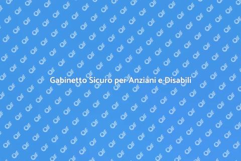 Installazione Gabinetto per Anziani