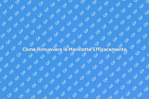 Rimozione Marmotte: Guida Completa