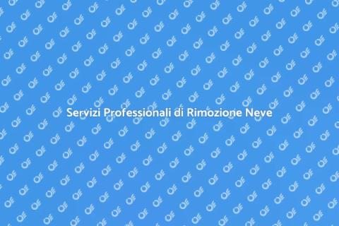 Rimozione Neve: Servizi Efficaci