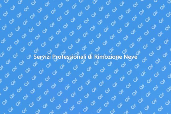 Liberati dalla Neve con i Nostri Servizi