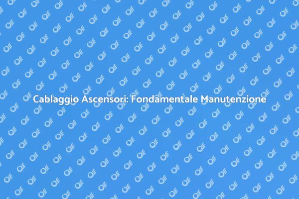Manutenzione Essenziale per Ascensori