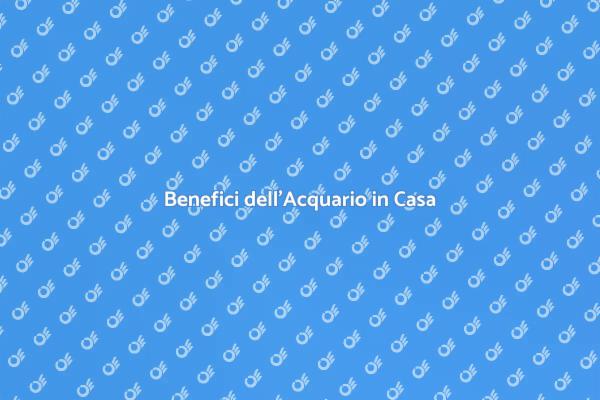 Acquario: Oasi di Serenità in Casa