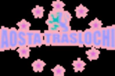 Aosta Traslochi  - Foto 1
