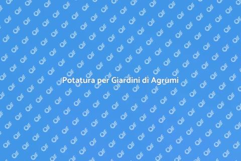 Potatura Armoniosa nel Giardino