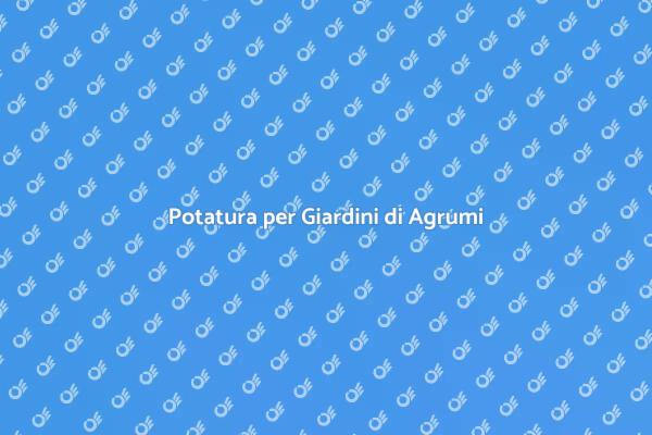Armonia nel Giardino di Agrumi