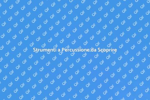 Altri Strumenti a Percussione Unici