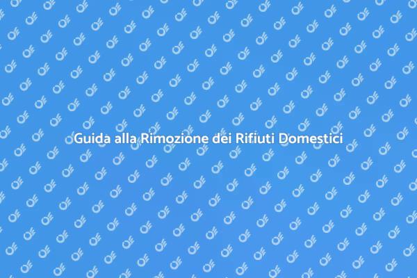 Rifiuti Domestici: Come Rimuoverli Correttamente