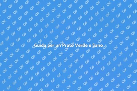 Mantenere un Prato Sano e Verde