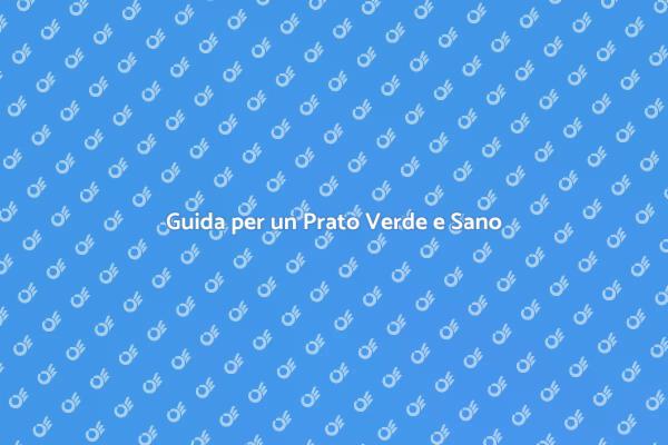 Come Avere un Prato Sano e Verde