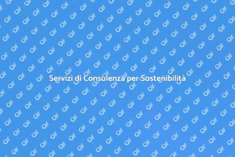 Consulenza Ambientale: Sostenibilità Ora