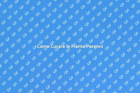 Manutenzione Piante Perenni: Guida Essenziale