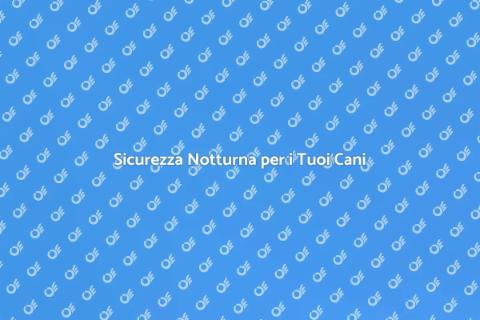 Dog Sitting Notturno: Cura e Sicurezza