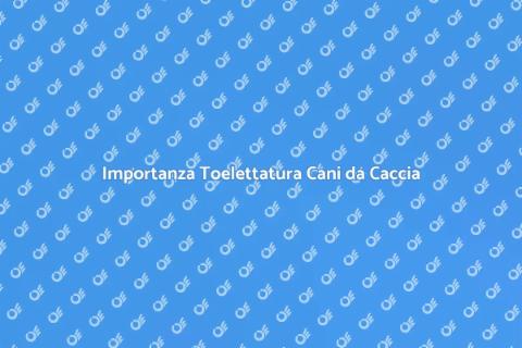 Toelettatura Cani da Caccia Essenziale
