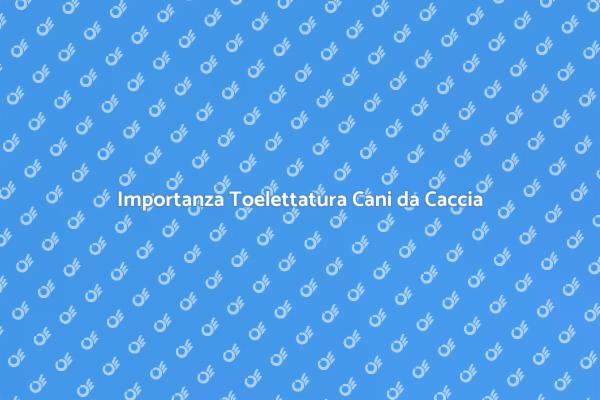 Salute e Toelettatura Cani da Caccia