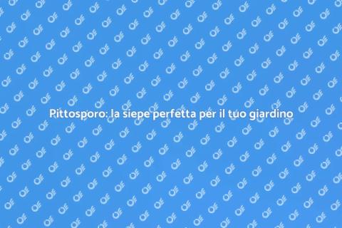 Siepe di Pittosporo: il tuo giardino verde