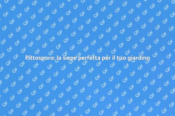 Abbellisci il tuo giardino con pittosporo