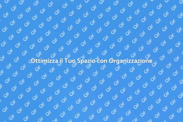 Organizzazione Parziale: Soluzione Ideale