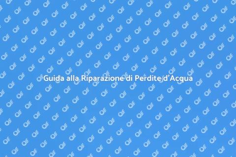 Risolvere una Perdita d'Acqua