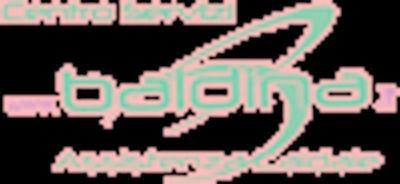Baldina - M. A. Project Service  - Foto 1