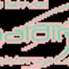 Baldina - M. A. Project Service 