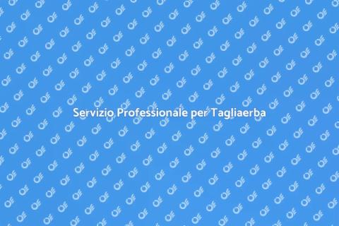 Manutenzione Tagliaerba per Giardini