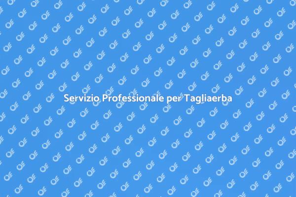 Cura del Giardino: Manutenzione Tagliaerba