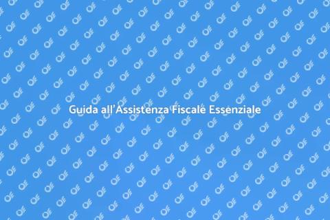 Assistenza Fiscale: Serenità Economica