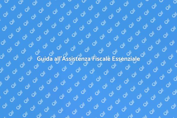 Assistenza Fiscale: La Tua Guida Fiduciaria