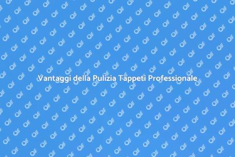 Pulizia Professionale Tappeti Essenziale