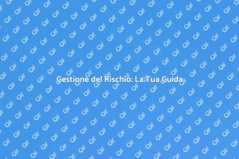 Consulenza sulla Gestione del Rischio