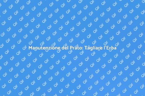 Far Tagliare Erba per un Giardino Sano