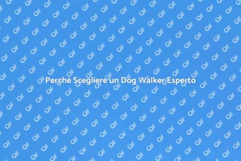 Dog Walker Esperto: Assistenza Ideale