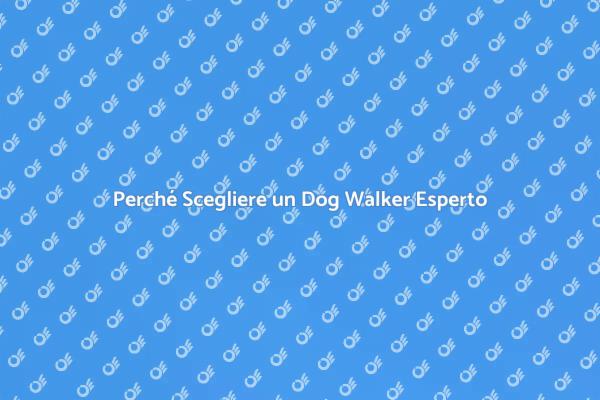 L'importanza di un Dog Walker Esperto