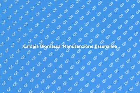 Manutenzione Preventiva Caldaia Biomassa