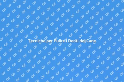 Pulire i Denti del Cane: Guida Essenziale