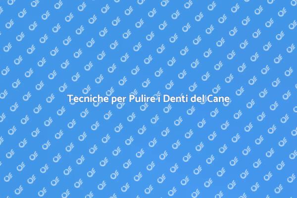 Importanza della Pulizia dei Denti
