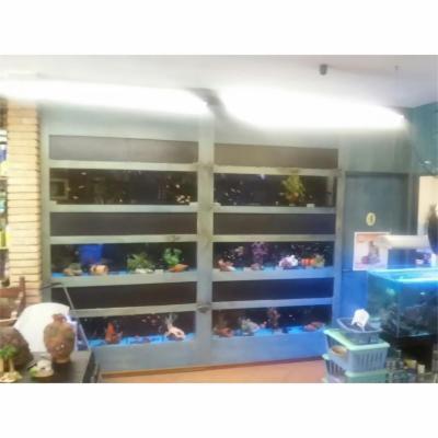 Aquarium  - Foto 5