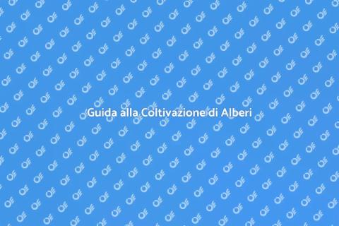 Coltivare un Albero: Guida Pratica