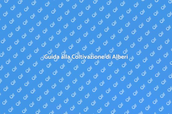 Coltivare Alberi: Passo Dopo Passo