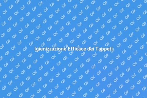 Lavaggio e Igienizzazione Tappeti